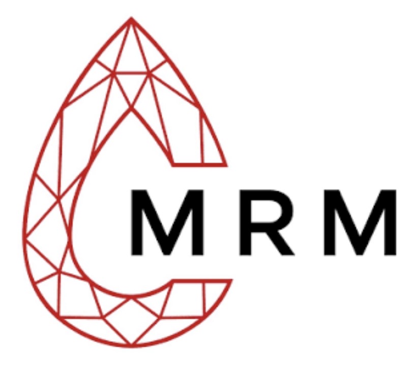 Montepuez Ruby Mining logo